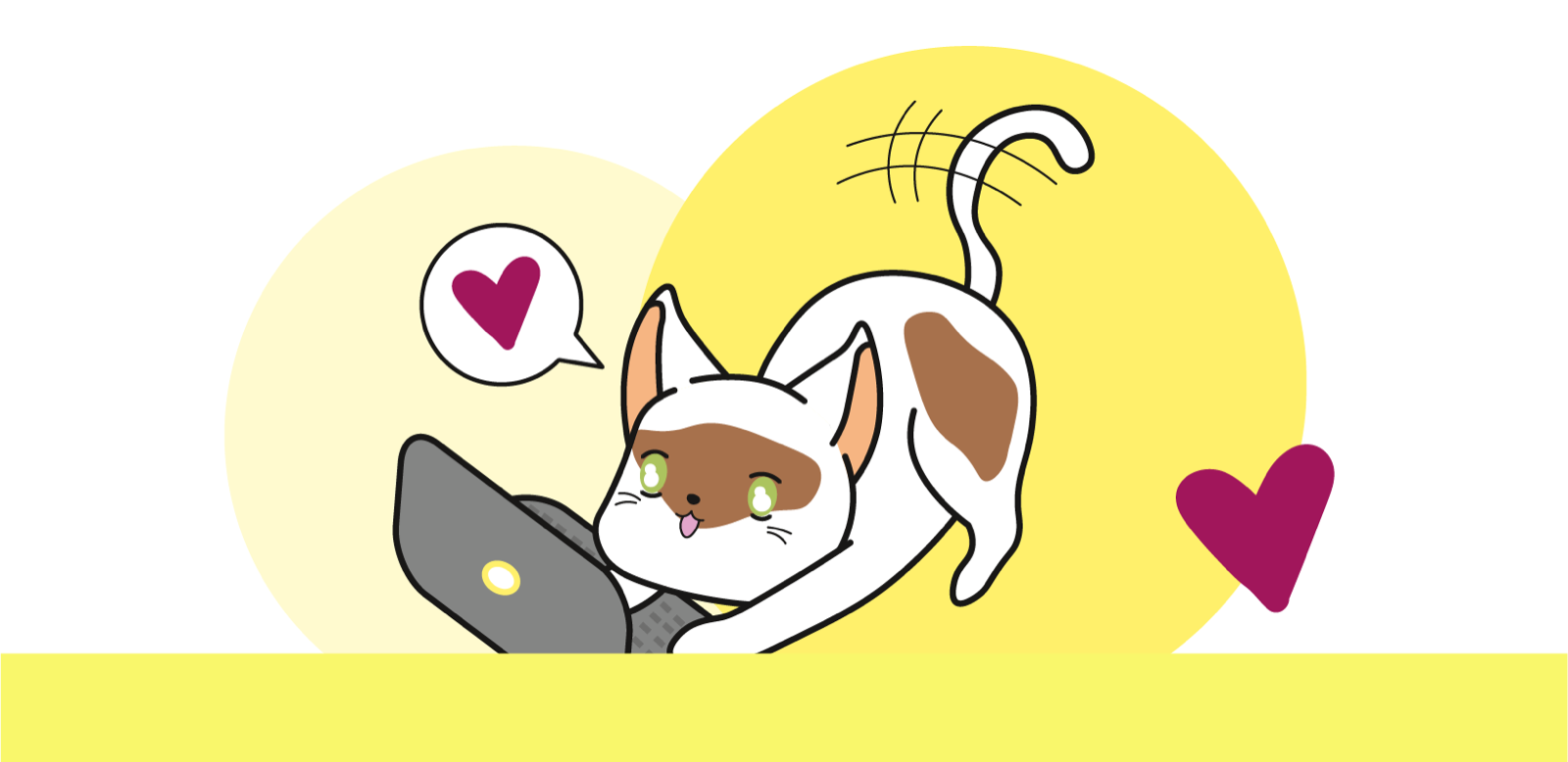 Katze, die mit einem Laptop spielt
