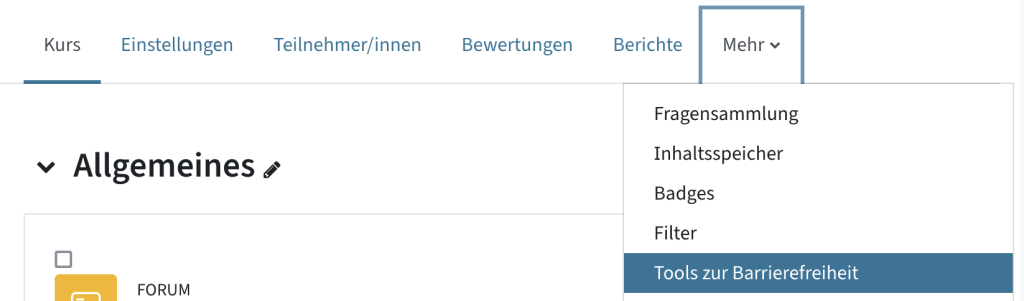 Mehr - Tools zur Barrierefreiheit im Kursmenü ist ausgewählt