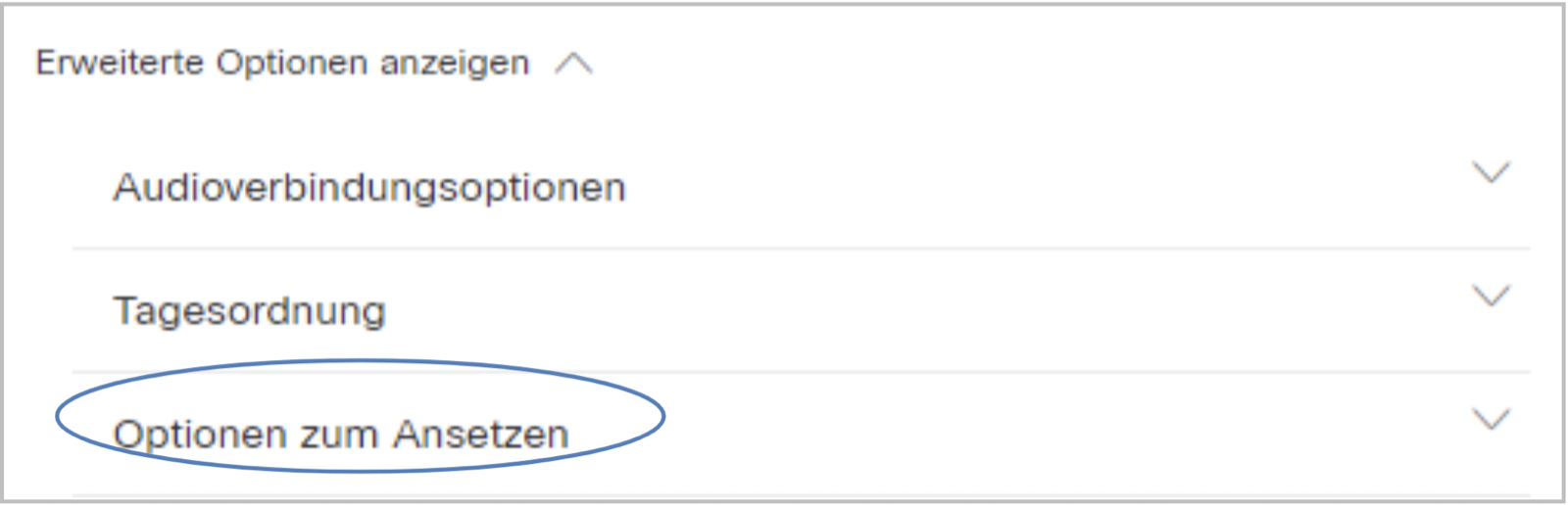 Schaltfläche erweiterte Optionen anzeigen - Optionen zum Ansetzen