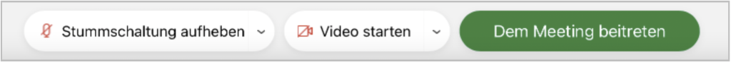 Screenshot der Menüleiste vor Meetingbeitritt, mit Button Dem Meeting Beitreten sowie Buttons für Video- und Audioeinstellungen