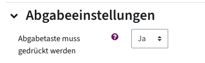Screenshot aus dem Menü, Abgabetaste muss gedrückt werden: Ja