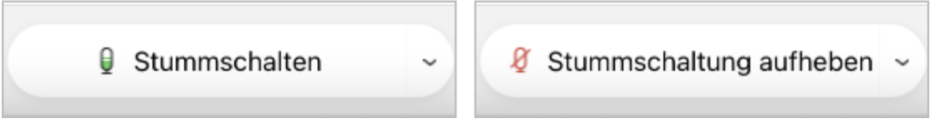 Screenshots der Buttons um Mikrofon ein- und auszuschalten
