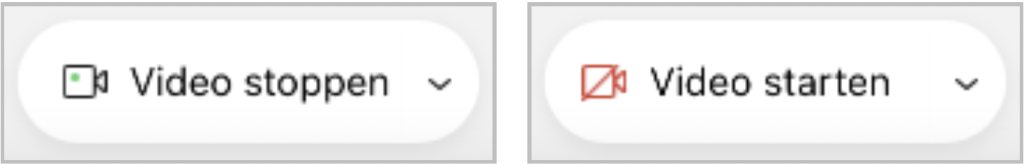 Screenshot der Buttons um Video ein- und auszuschalten