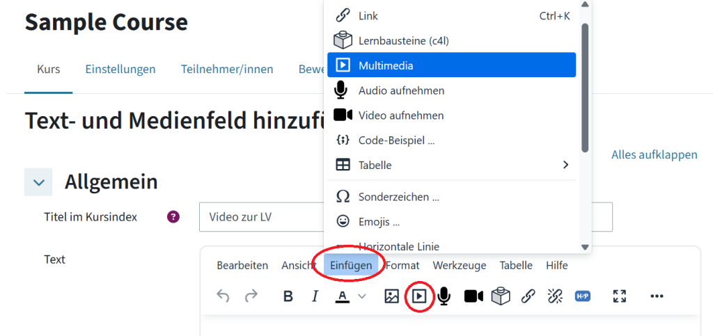 Das ist ein Text- und Medienfeld, Im Texteditor ist das Dropdown "Einfügen" aufgeklappt. Der Multimedia-Button ist hervorgehoben.
