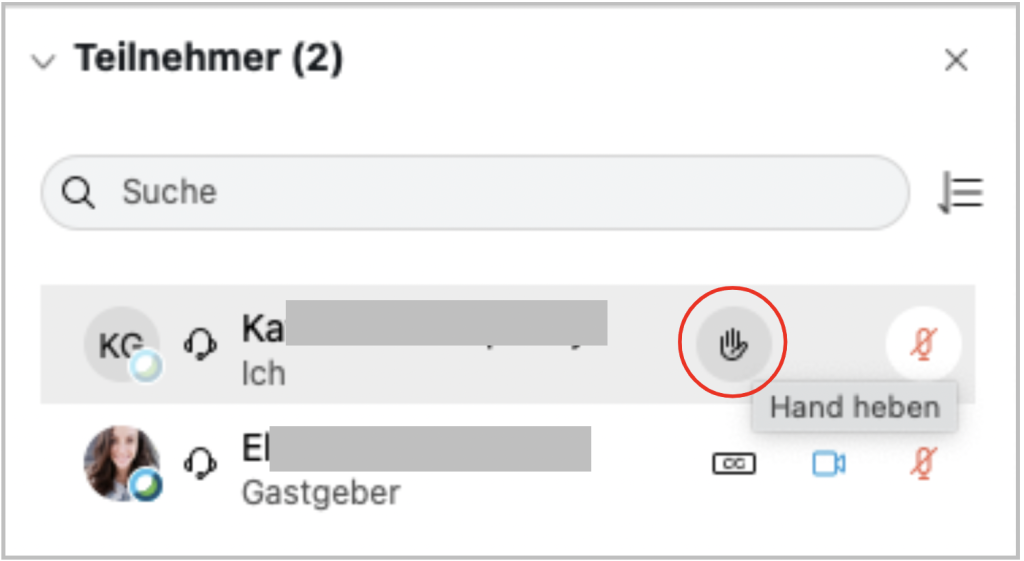 Screenshot des Teilnehmendenmenüs mit dem Button "Hand heben"