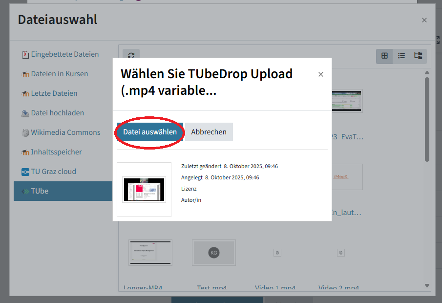 Im Menü "TUbe" wurde ein Video ausgewählt und der Button "Datei auswählen" ist eingekreist.