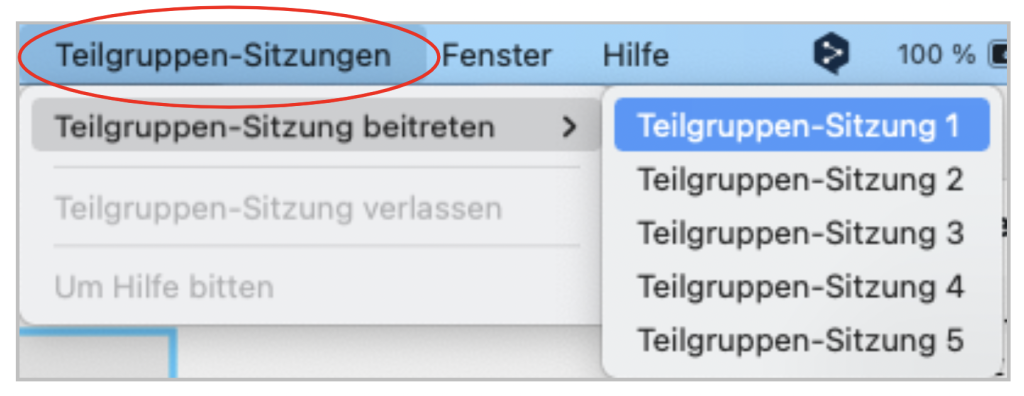 Screenshot des Menüs, wenn man eine Teilgruppen-Sitzung wählt