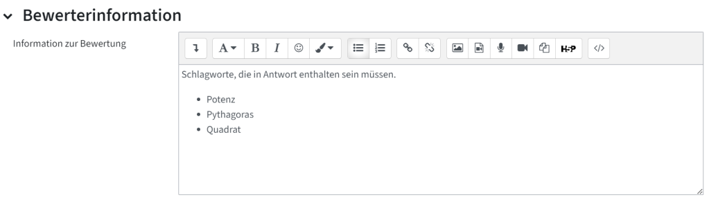 Hier sieht man den Abschnitt mit der Überschrift Bewerterinformation. Darunter steht Information zur Bewertung, das Textfeld wurde hier als Beispiel ausgefüllt. Es steht: Schlagworte, die in Antwort enthalten sein müssen: Potenz, Pythagoras, Quadrat