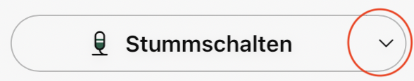 Screenshot des "Stummschalten"-Buttons