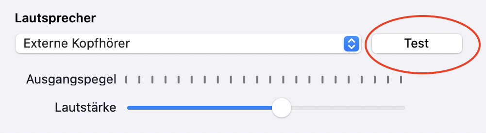 Screenshot der Audio-Einstellungen