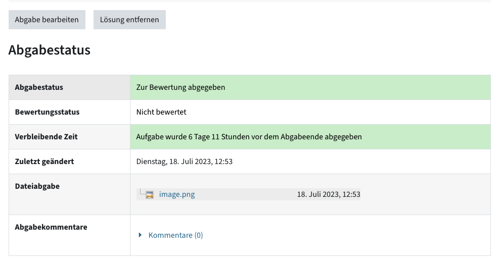 Ansicht für Studierende, wenn eine Datei abgegeben wurde