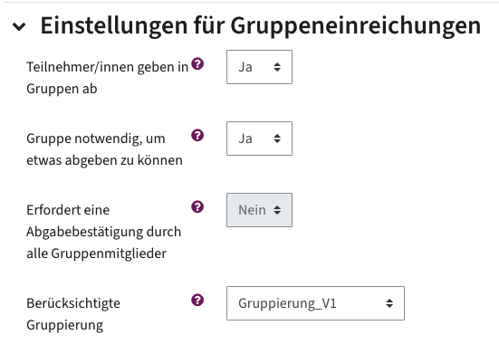Teilnehmer/innen geben in Gruppen ab: Ja, Gruppe notwendig um etwas abgeben zu können: Ja, Berücksichtigte Gruppierung: eine Gruppierung ist ausgewählt
