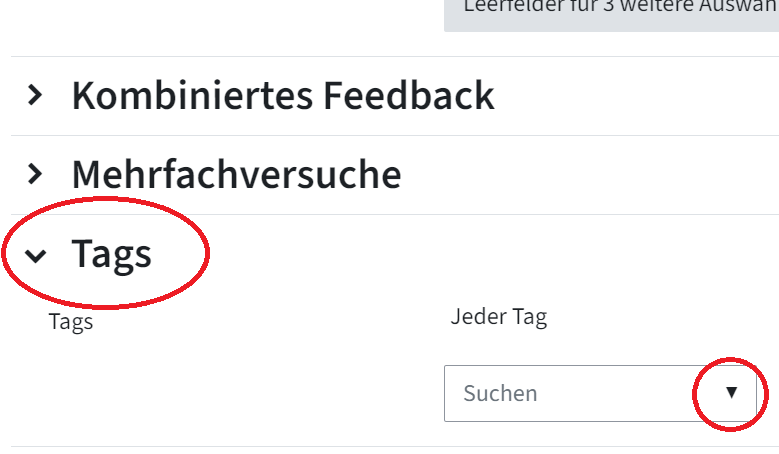 Hier sehen sie den Abschnitt "Einstellungen einer Frage", markiert ist die Kategorie "Tags" und der Pfeil des Dropdown-Menüs, wo man Tags auswählen kann.