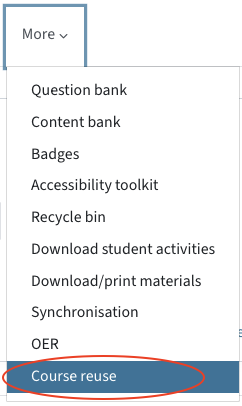 Menu options under the tab "More"