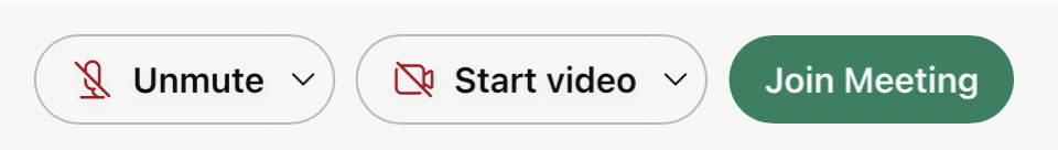 Screenshot of the menu bar before joining a meeting with the button join meeting and voice and camera settings
