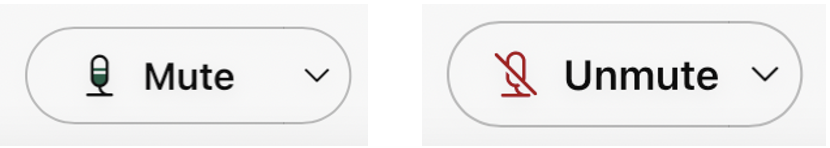 Buttons for muting and unmuting microphone