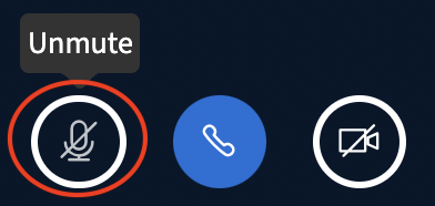 Screenshot of the "Unmute" button