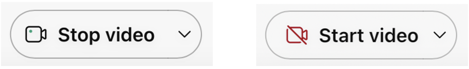 Buttons for starting and stopping video