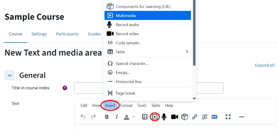 This is a text and media area. In the text editor, the 'Insert' drop-down menu is open. The multimedia button is highlighted.