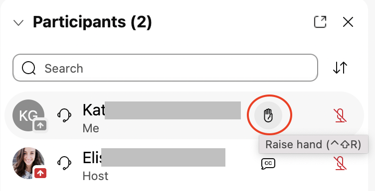 "Raise hand" button next to the participant's name