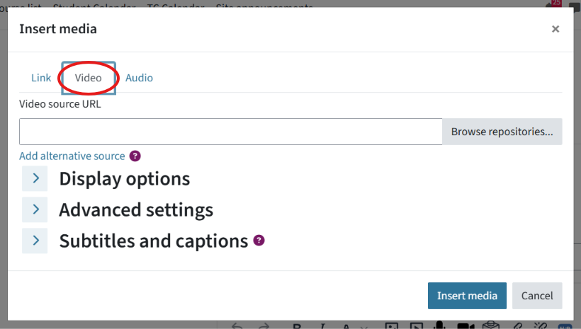 The 'Insert Media' window appears. The 'Video' tab is circled.