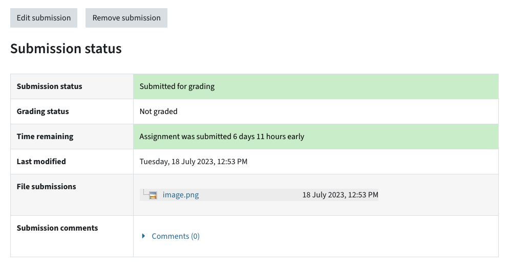 Submission status when something has been uploaded and button to edit submission