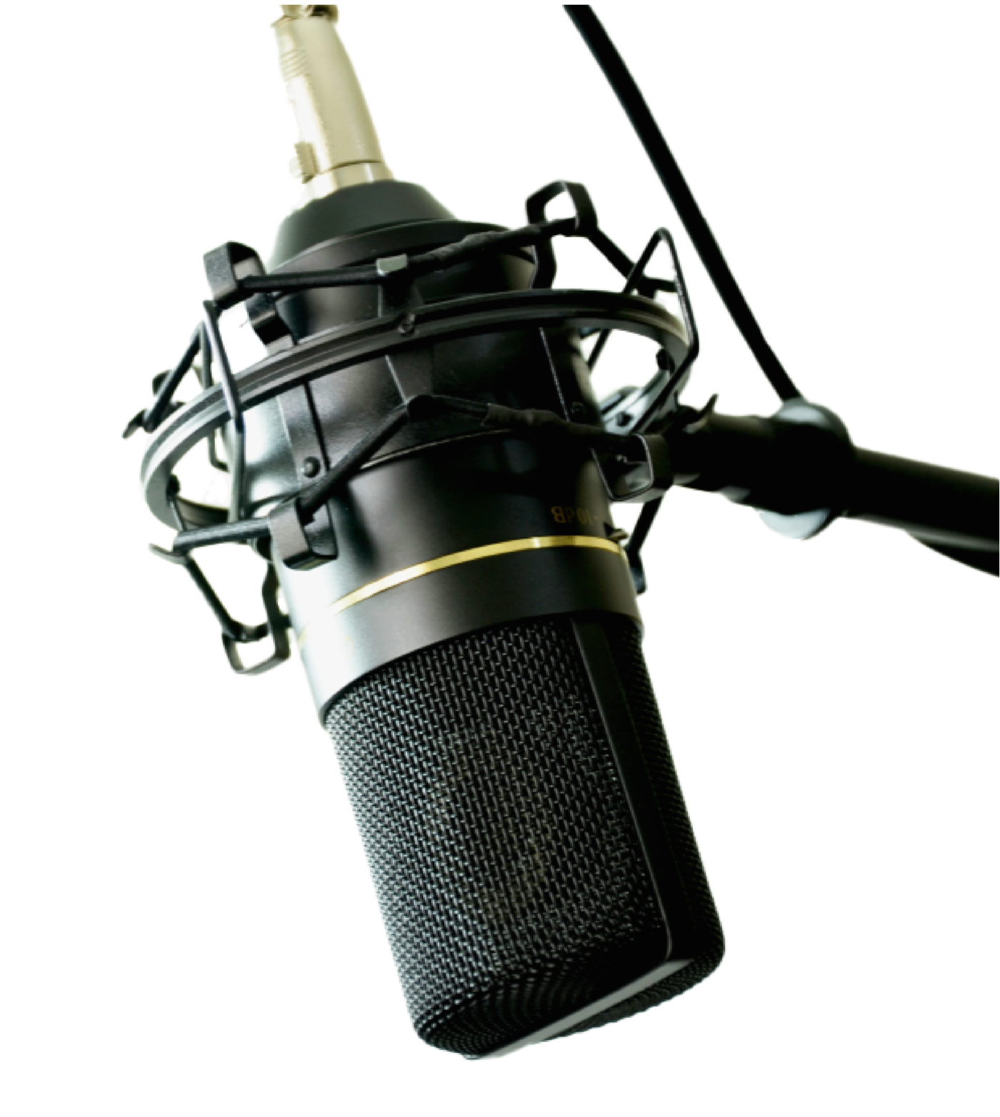 Ein Studiomikrofon - 2021 startete der TELucation-Podcast.